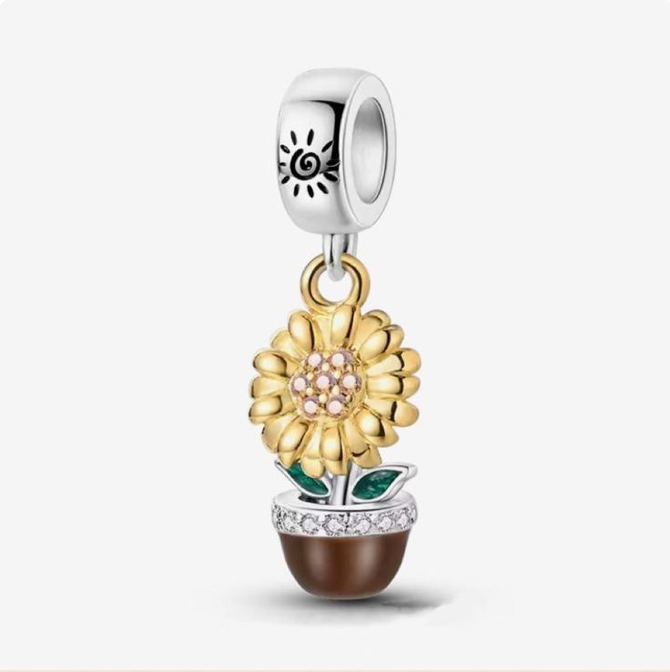 Charm Girasol Planta