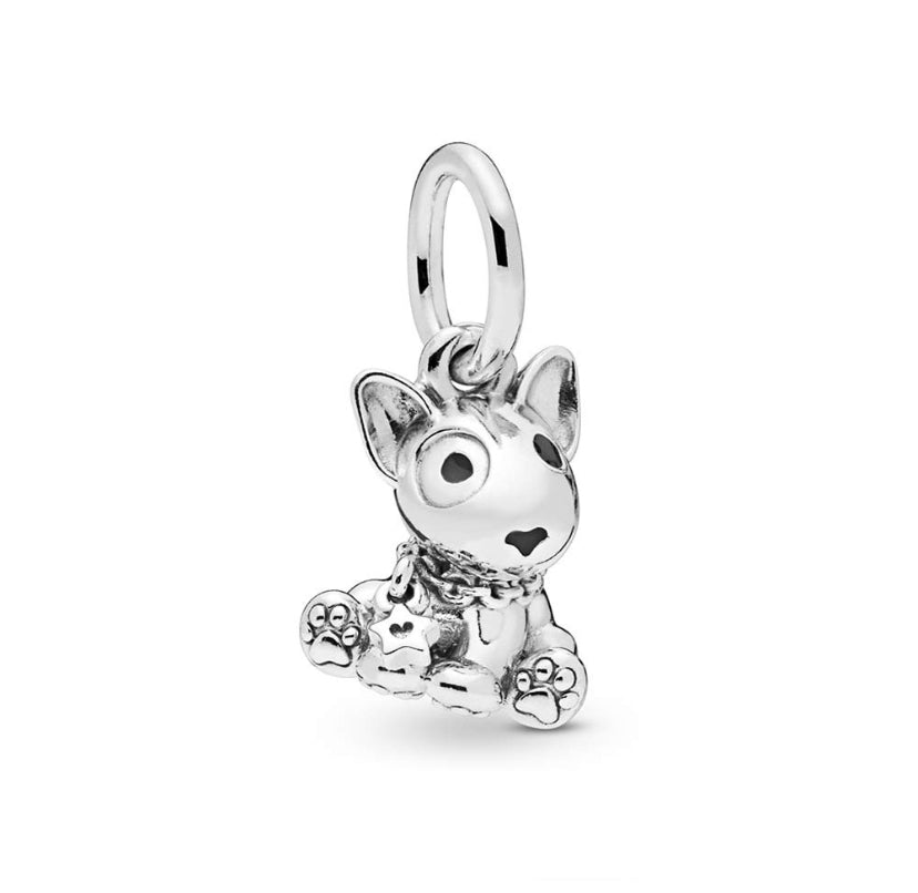 Charm perrito tiburón