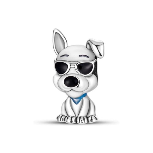 Charm Perro con gafas 😎