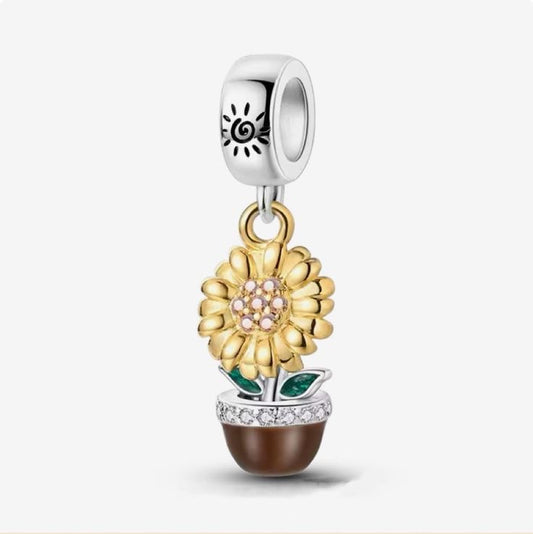 Charm Girasol Planta