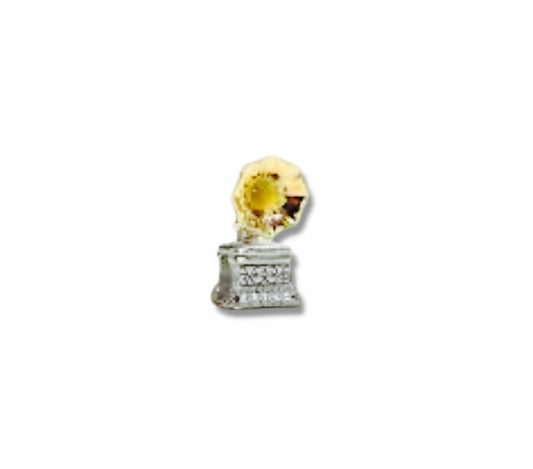 Charm Grammy